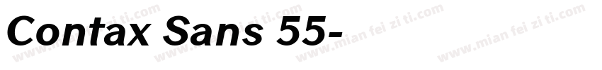 Contax Sans 55字体转换